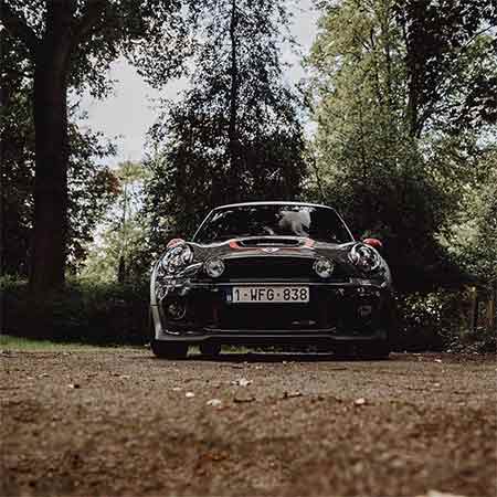 دانلود آهنگ کبوتر مهدی شریفی